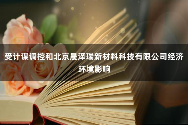受计谋调控和北京晟泽瑞新材料科技有限公司经济环境影响